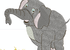 Elefant a